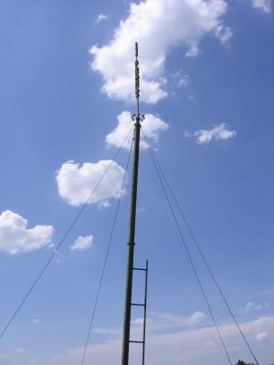 Прикрепленное изображение: IMG_0037.jpg